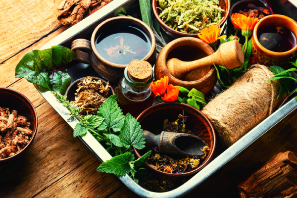 GymVeda - Where Ancient Ayurveda Meets Modern Performance